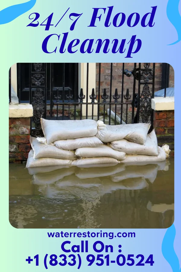 24/7 Flood Cleanup in Bear Creek Village, PA