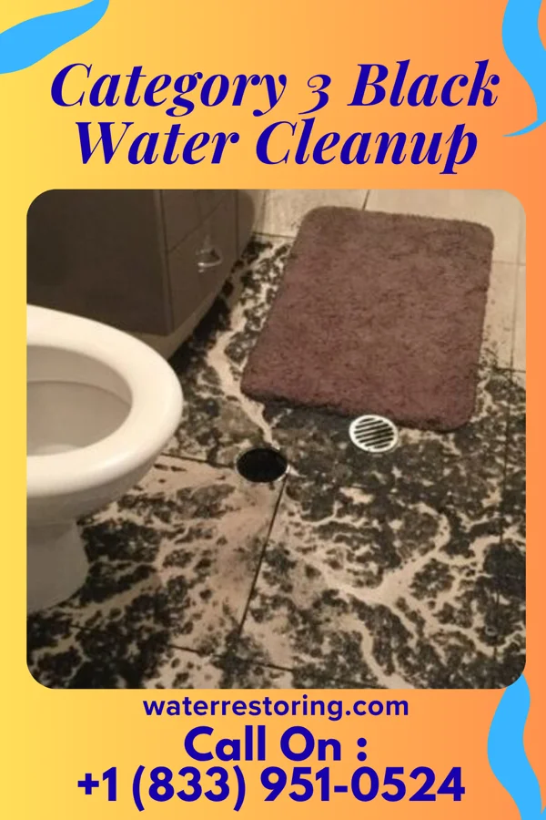 Category 3 Black Water Cleanup in Bear Creek Village, PA