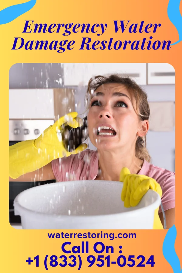 Emergency Water Damage Restoration in Bear Creek Village, PA