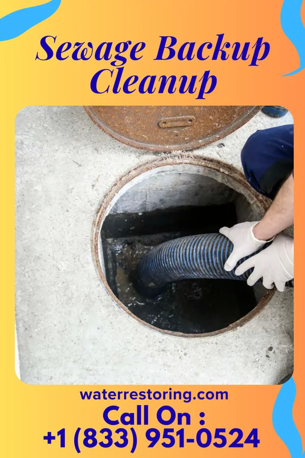Sewage Backup Cleanup in Bear Creek Village, PA
