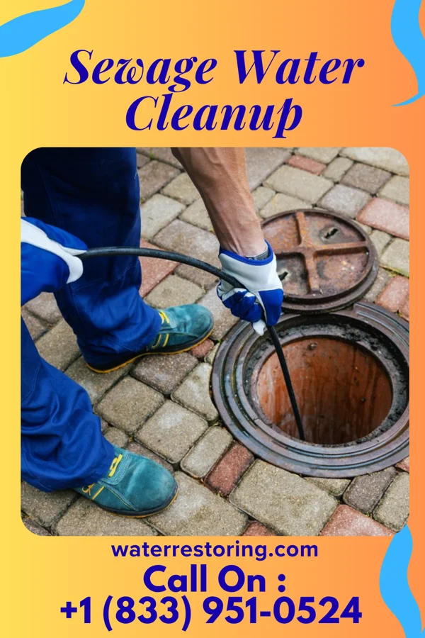 Sewage Water Cleanup in Bear Creek Village, PA