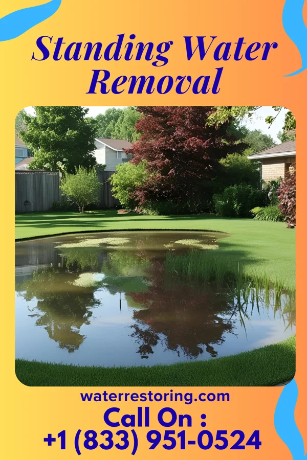 Standing Water Removal in Bear Creek Village, PA